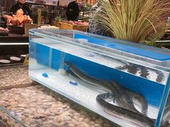 -東盛炭烤自助料理(玄武招商花园城店)