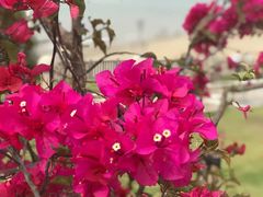 -厦门日月谷温泉渡假村