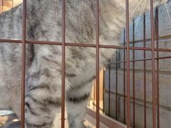 -金谷里艺术馆