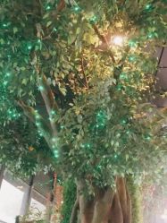 -苏州大学附属儿童医院(园区总院)