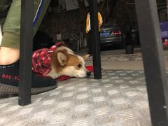 -小梁哥云吞面(黄贝岭店)