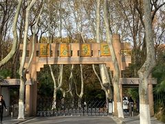-灵谷景区