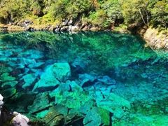 -叠溪松坪沟景区