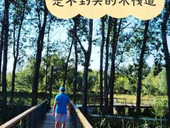 -东郊湿地公园