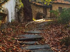 -石台牯牛降景区