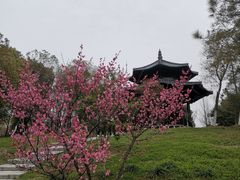 -江南大学(蠡湖校区)