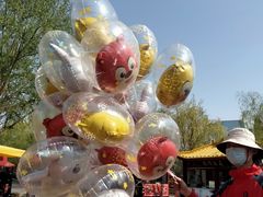 -郑州方特梦幻王国