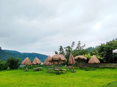 -桃源山庄·水蜜桃采摘·柴火鸡·烧烤团建(龙泉山店)