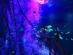 -沈阳海洋探索中心