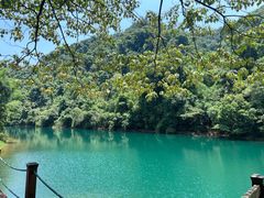 -鼎湖山风景区