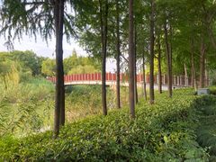 -南翔镇银翔湖公园