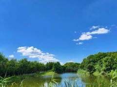 -艾溪湖湿地公园