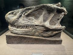 -自贡恐龙博物馆