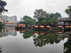 -侨美·唐荔园·40年地道粤菜