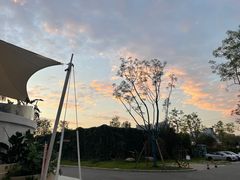 -悦见花开·花园里的火锅·露营·下午茶