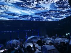 -M-MIX电音烤吧
