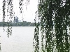-浙江大学(玉泉校区)