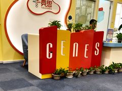 -竞思注意力·专注力·学习能力训练(天一广场中心)