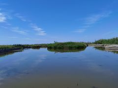 -宁波杭州湾国家湿地公园