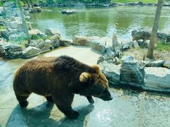 -北京野生动物园