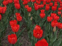 -长春公园(普阳街道)