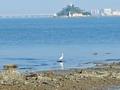 -白鹭洲公园