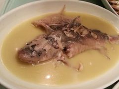 清蒸洄鱼-渔人码头(中南店)