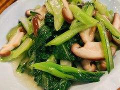 香菇青菜-天山传奇新疆菜(SKLP店)