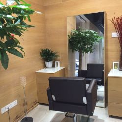 点击看大图 -CARR SALON