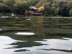 -紫霞湖公园