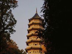 -灵谷景区