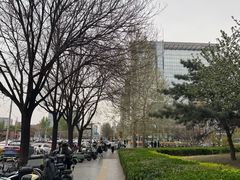 -大钟寺古钟博物馆