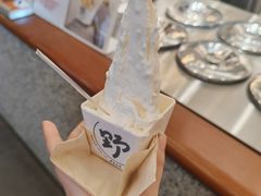 -野人先生Gelato(上海长宁龙之梦店)