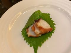 八爪鱼刺身-科尔海悦酒店樱之河日本料理(清河东路店)
