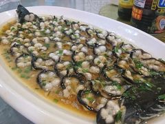 -呼吸森林·生态农庄农家乐私房菜