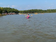 -上海海湾国家森林公园