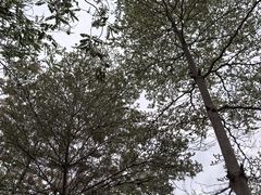 -四海公园(南山区)