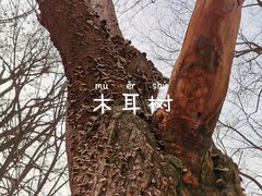 -终南山南五台景区