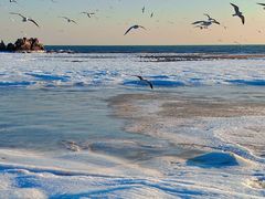 -老虎石海上公园