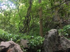 -杭州西湖风景名胜区-三生石