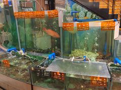 -朱仔记食府(江南大道店)