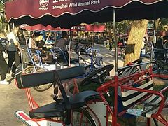 -野生动物园-停车场