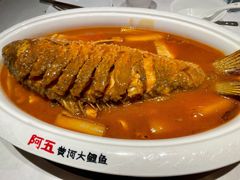 -阿五黄河大鲤鱼(英协路店)