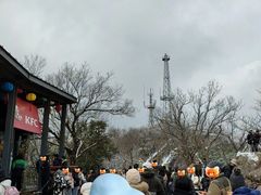 -紫金山山顶公园