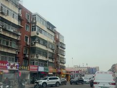 -中环花鸟鱼虫市场