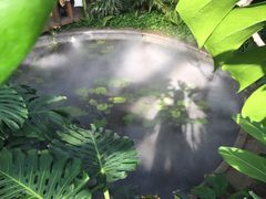 -北京植物园-展览温室