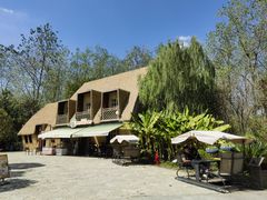 -合肥滨湖国家森林公园