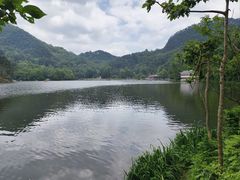 -黔灵山公园