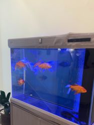 -海涛医疗美容·面部抗衰·注射美鼻