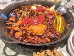 红锅底-五里关火锅(牛市口店)